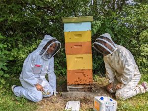 Hive of Ideas for Colombian Student