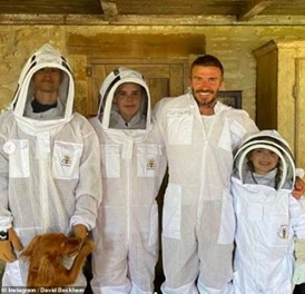 David Beckham Beekeeper