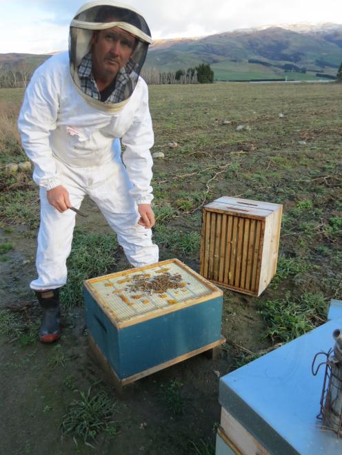 CATCH THE BUZZ – NZ Honey Levy to Include Comb Honey, and Exclude Small Producers.