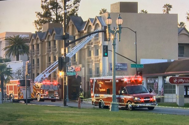 CATCH THE BUZZ – Swarm of Killer Bees Attack First Responders