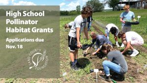 Pollinator Grants Offered to High Schools