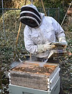 Missouri Heroes to Hives Program