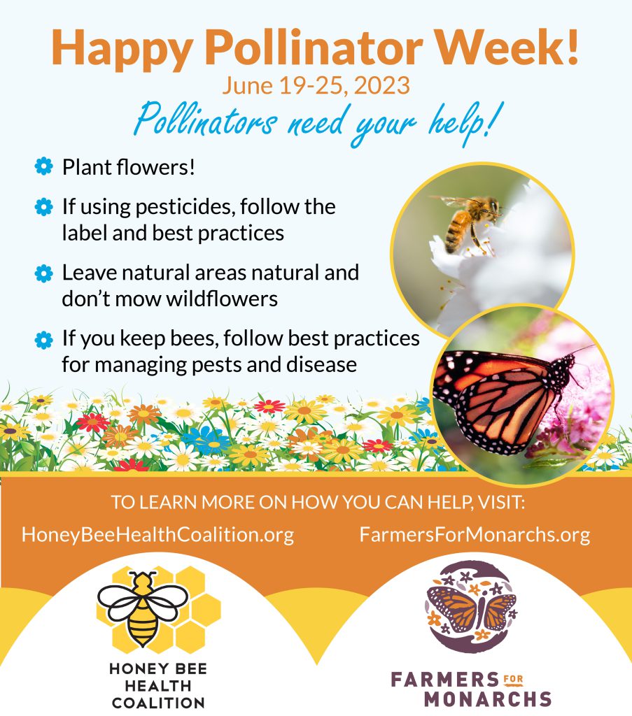 Happy Pollinator Week!