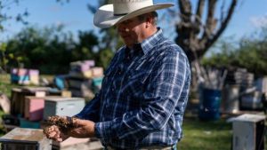 Florida Honey Bees are Starving