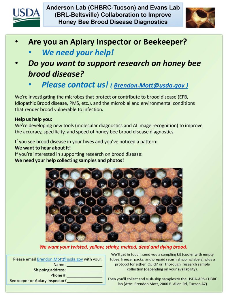 Honey Bee Brood Disease Diagnostics