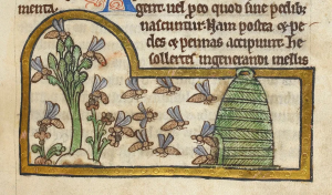 Medieval Honey Trade